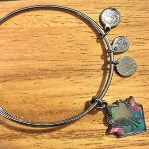Alex and Ani Disney Gunmetal Maleficent Bangle Charm Bracelet